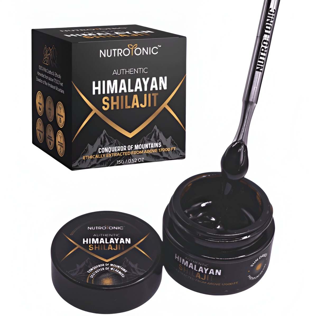Shilajit Original Himalaya