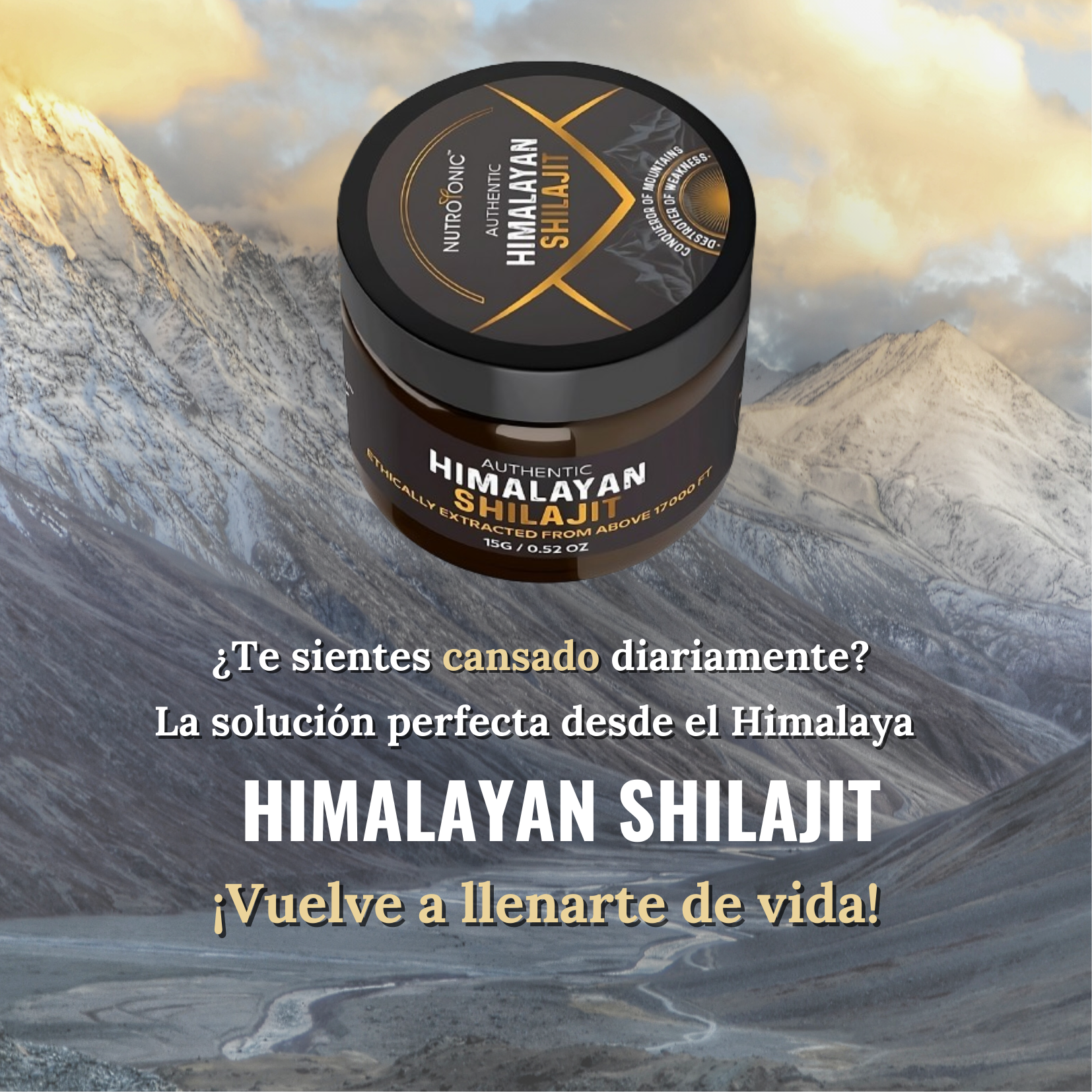 Shilajit Original Himalaya